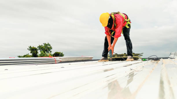 Best Solar Panel Roofing Installation  in Flordell Hills, MO