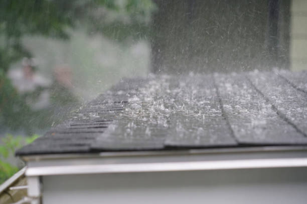 Best Roof Ventilation Installation  in Flordell Hills, MO